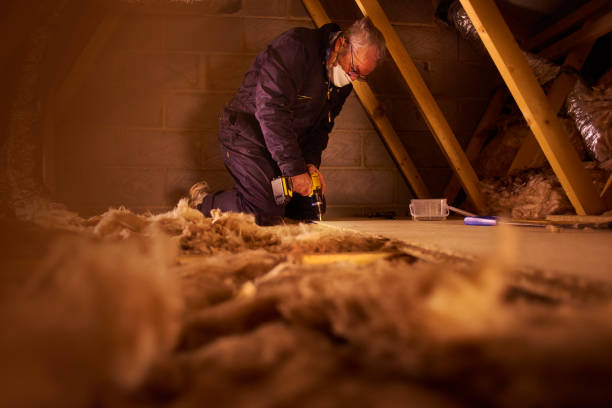 Best Insulation Installation Services in Worthington, OH